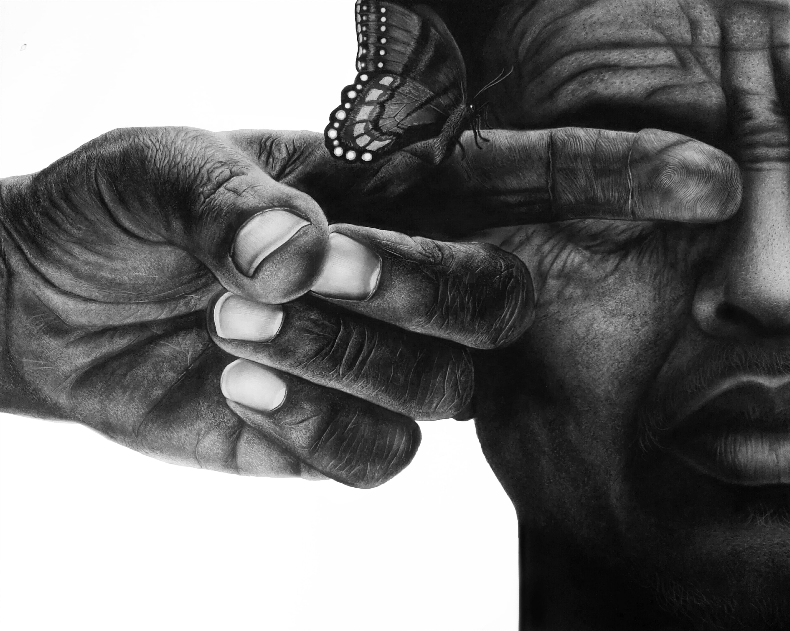 I Wonder — Charcoal on Paper by Gaurav Ghimire